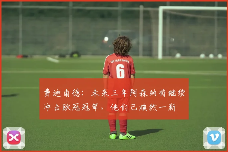 费迪南德：未来三年阿森纳将继续冲击欧冠冠军，他们已焕然一新